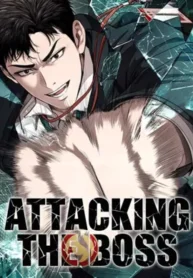 Attacking The Boss Cover