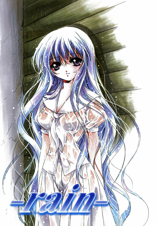 -Rain- Cover