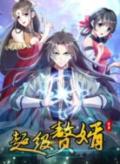 Super son in law Cover